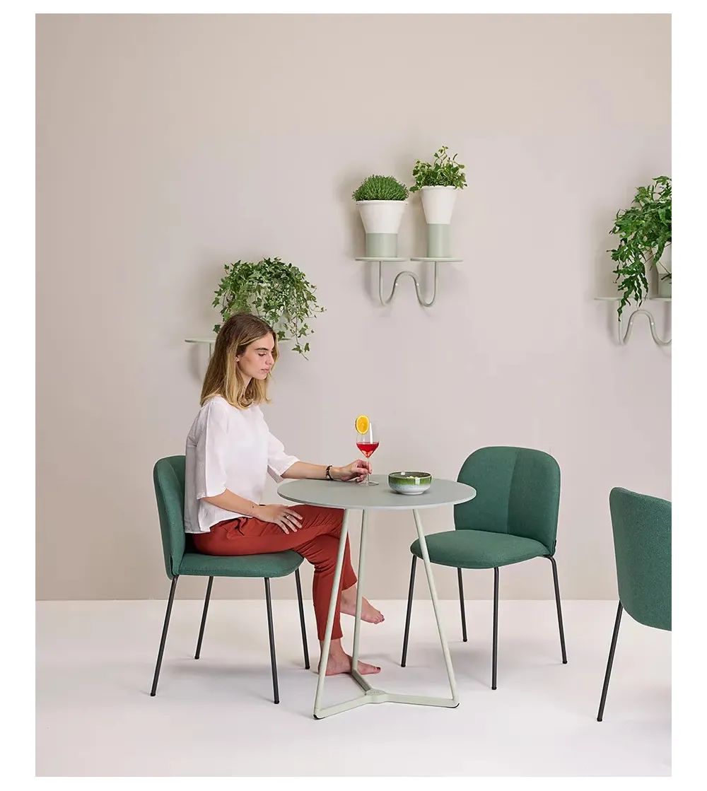 Support Mural pour Plantes Mimosa - SCAB