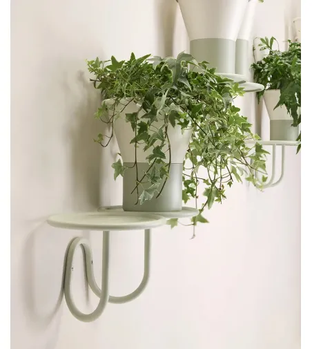 SCAB - Mimosa Wand-Pflanzenhalter