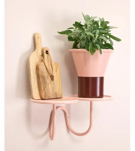 SCAB - Mimosa Wall Plant Holder