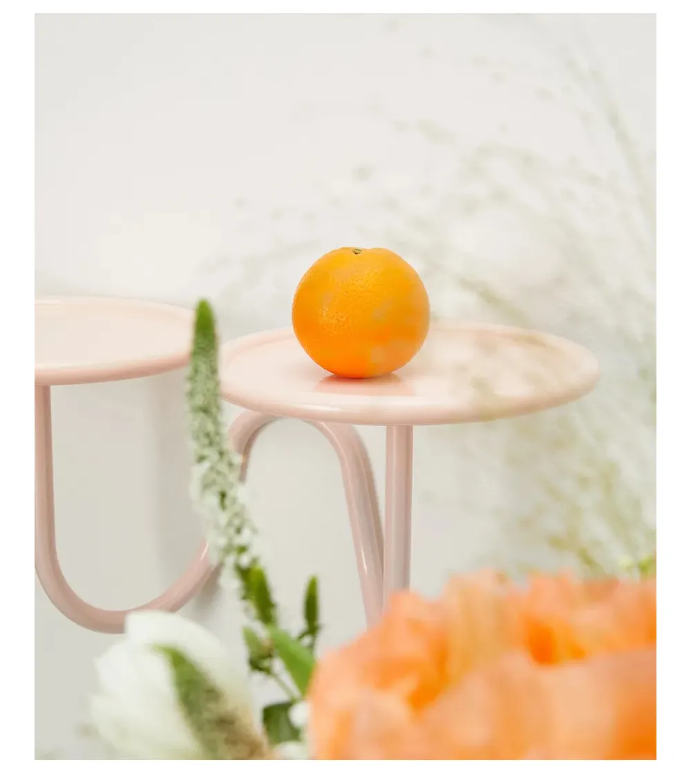 SCAB - Mimosa Wall Plant Holder