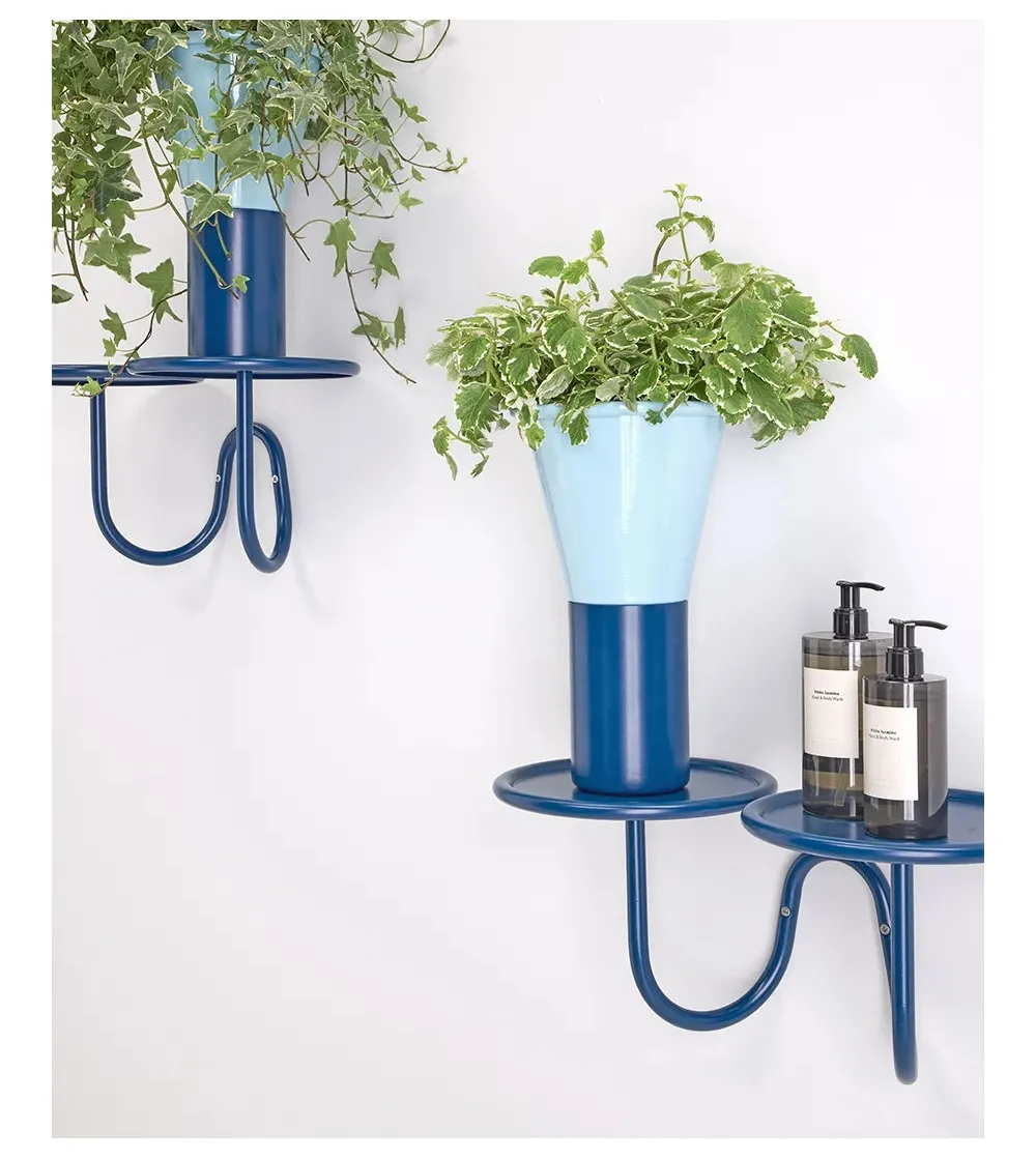 Support Mural pour Plantes Mimosa - SCAB